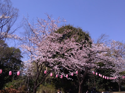 Tsunashimadai Park 사진 4