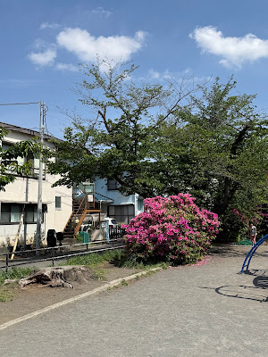 Tsunashimanishi Rokuchome Park 사진 3