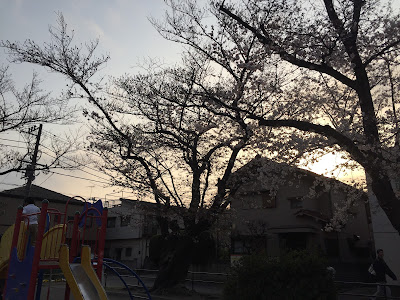 Tsunashimanishi Rokuchome Park 사진 5