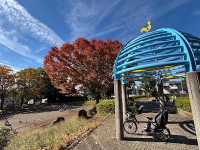 Nakagawakikyo Park 사진 2