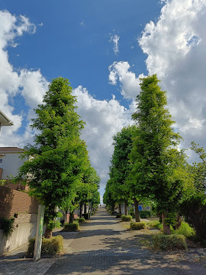 Ushikubonishisuzuran Park 사진 4