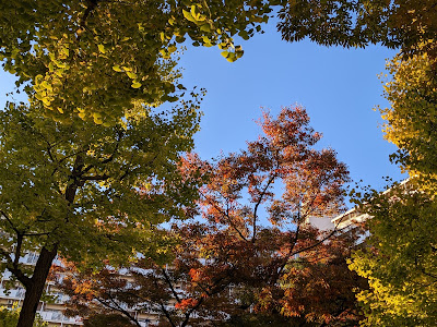 Kamatahoncho 1 Chome Park 사진 4