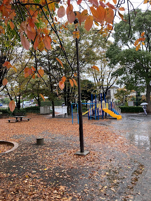 Ushikubonishihikarigaoka Park 사진 4