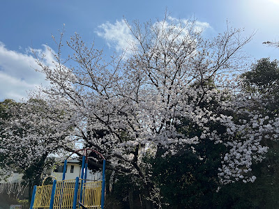Ushikuboayame Park 사진 4