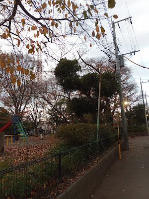 Ida Park 사진 4