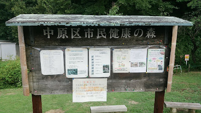 中原区市民健康の森(井田山緑地) 사진 4