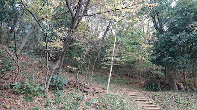 中原区市民健康の森(井田山緑地) 사진 3