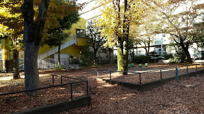 Ichinotsubo Nakamura-dori Park 사진 4