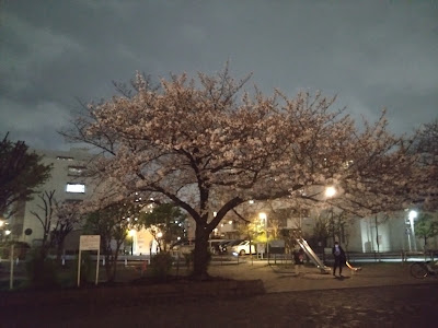 Kizukisumiyoshiminami Park 사진 3