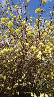Kizukisumiyoshiminami Park 사진 4