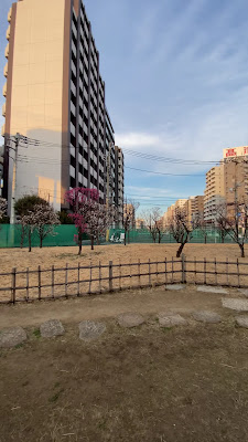Seiseki Kamata Umeyashiki Park 사진 2