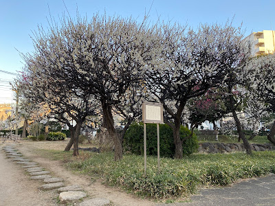 Seiseki Kamata Umeyashiki Park 사진 3