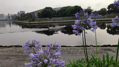 Miharashibashi Park 사진 4