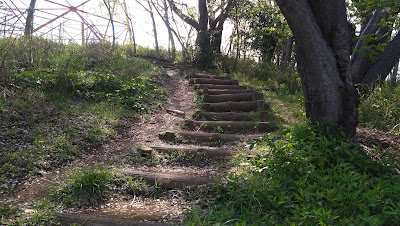 Arimasakura Park 사진 4