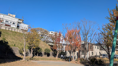 Arimakaede Park 사진 3