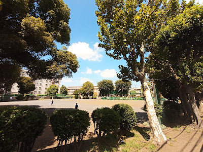 Arima Child Park 사진 3