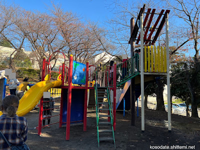 Arimatsutsuji Park 사진 4