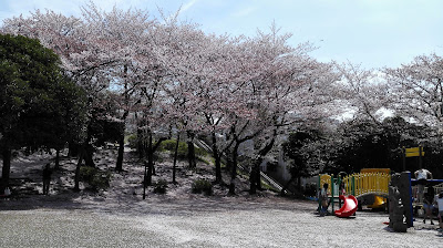 Arimatsutsuji Park 사진 3