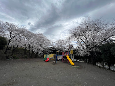 Arimatsutsuji Park 사진 5