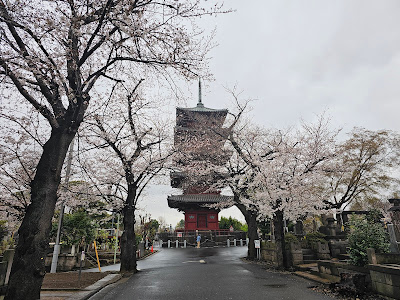 Hommon-ji Gojunoto (Five Story Pagoda) 사진 4