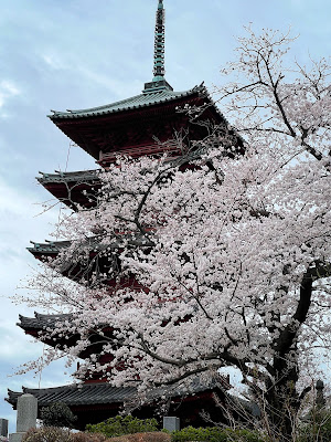 Hommon-ji Gojunoto (Five Story Pagoda) 사진 3