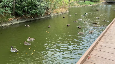 Hyotan Pond 사진 5