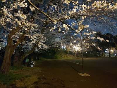 Kodai Park 사진 4