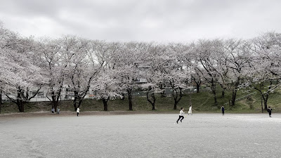 Kodai Park 사진 2