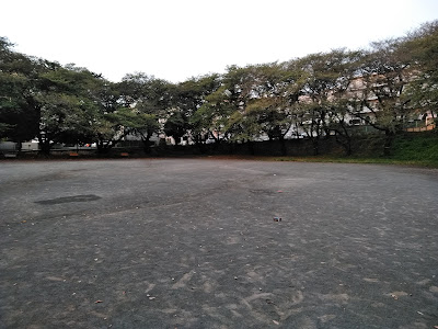 Kodai Park 사진 5