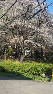 Tsuchihashi 2-chome Park 사진 2