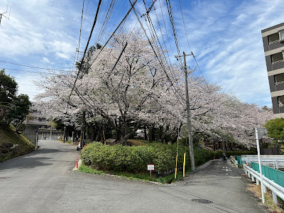 Tsuchihashi 2-chome Park 사진 3