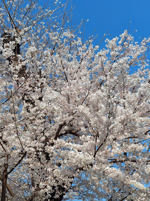 Tsuchihashi 2-chome Park 사진 5