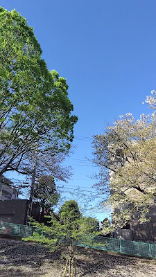Kodai West Park 사진 2