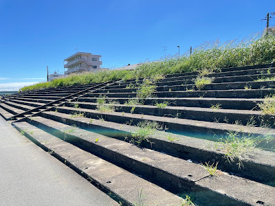 多摩川スピードウェイ跡 사진 5