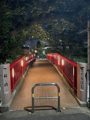 桜橋（桜坂通り） 사진 4