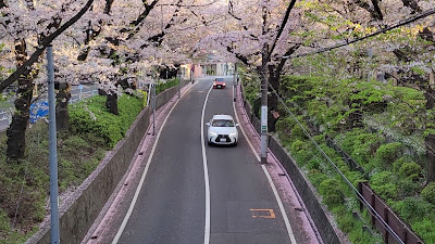 桜橋（桜坂通り） 사진 2