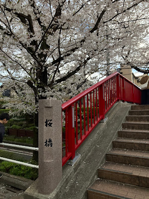 桜橋（桜坂通り） 사진 3