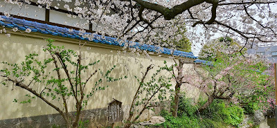 Jabara 사진 2