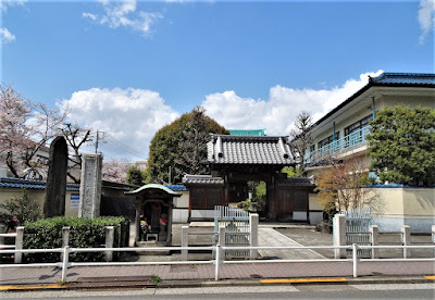 토코인 사진 4