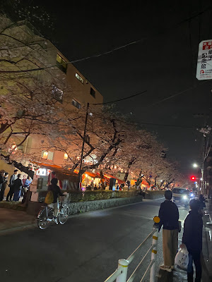 Sakuranamiki Park 사진 3