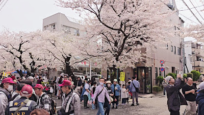 Sakuranamiki Park 사진 2