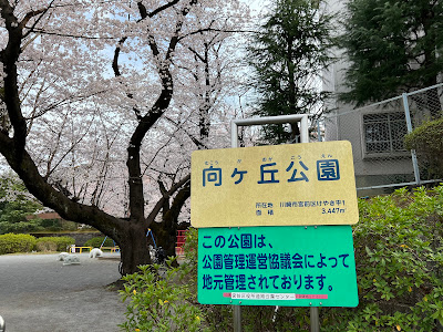 Mukogaoka Park 사진 2
