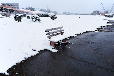 AT THE BENCH 사진 2