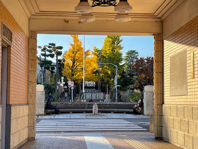 田園調布の銀杏並木 사진 4