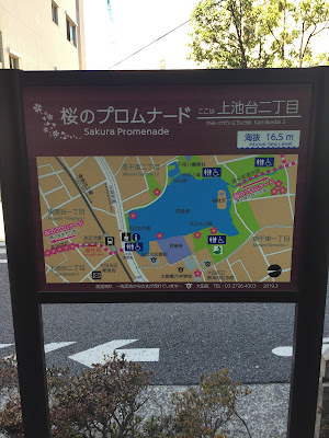 Sakura Promenade 사진 4