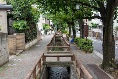 Sakura Promenade 사진 3