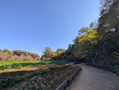 とんもり谷戸 사진 3