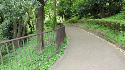 Wisteria shelf(Fuji Flower) 사진 2