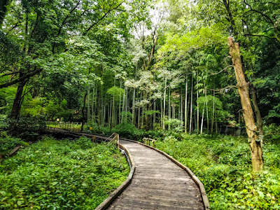 Higashi-Takane forest park 사진 5