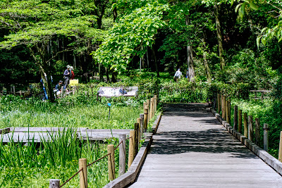 Aquatic Plant Botanical Garden 사진 3